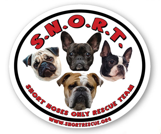 Snort Rescue Short Noses Only Rescue Team