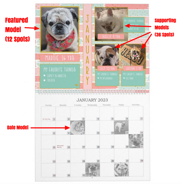 SNORT Calendar Contest SNORT Rescue