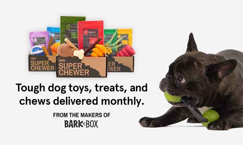 BarkBox Super Chewer